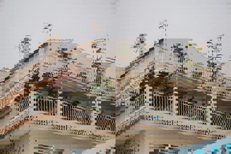 Urban Gardeners Embrace Native Bees To Boost Balcony Harvests