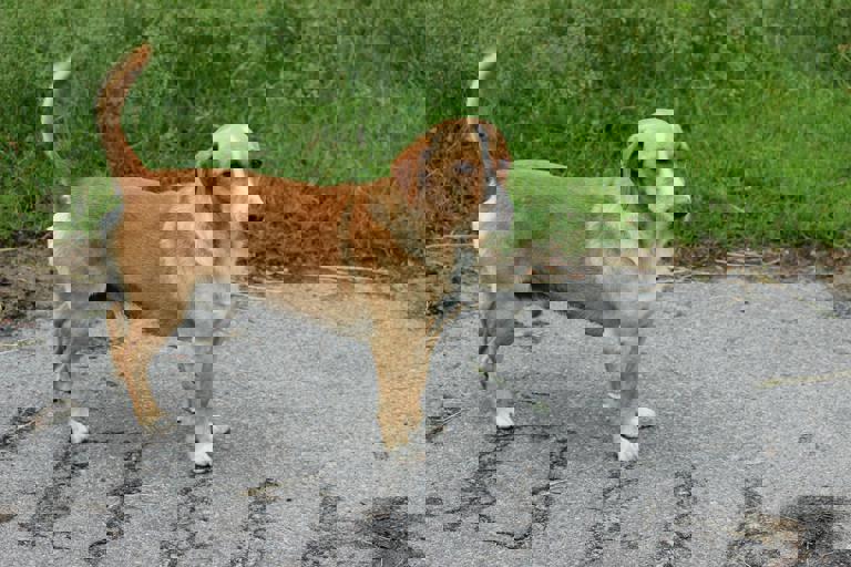 Charred $100 Bills Mysteriously Appear Across City Streets, Residents Perplexed